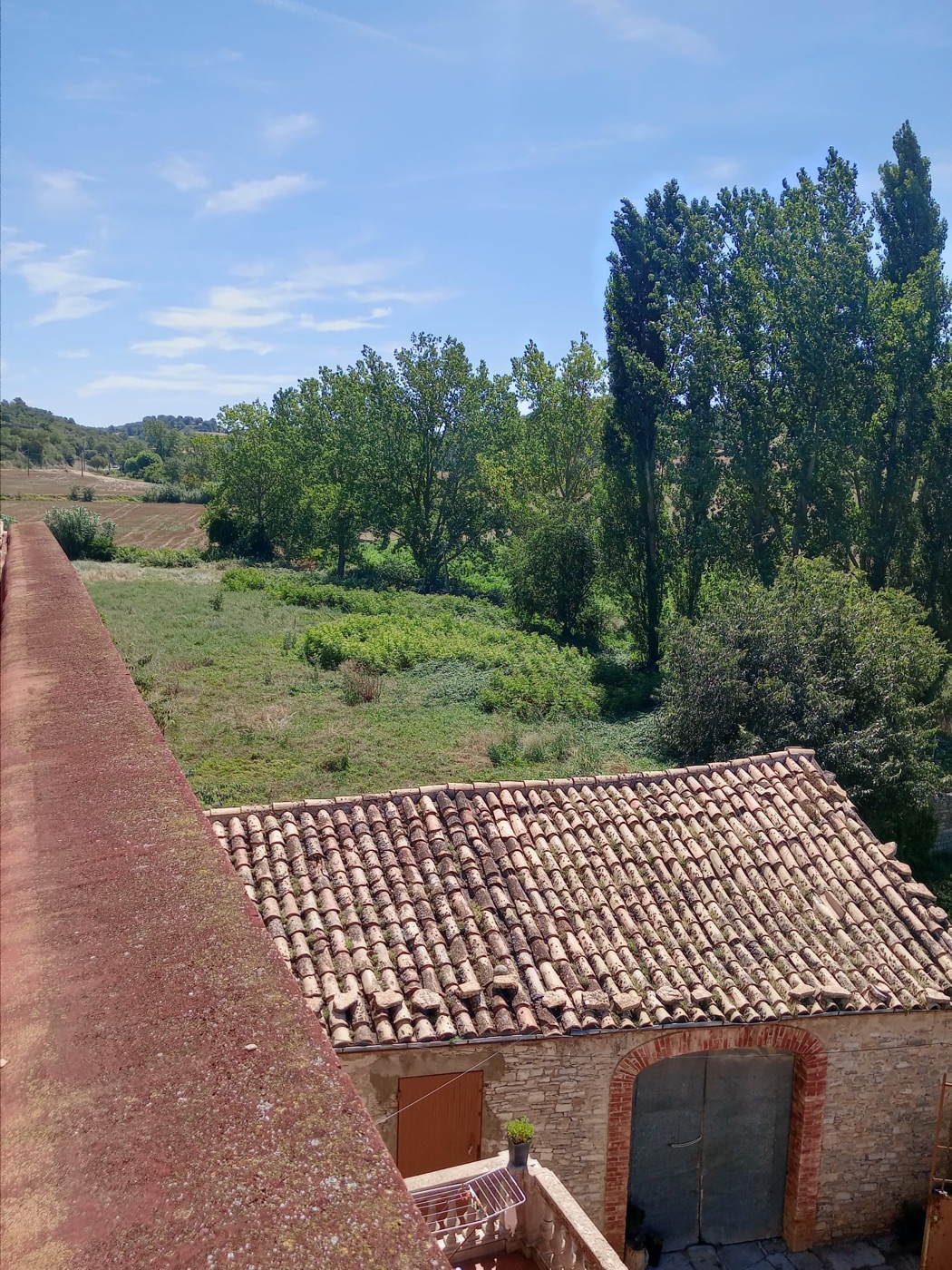 L'entorn i el jardí del molí a Gaver