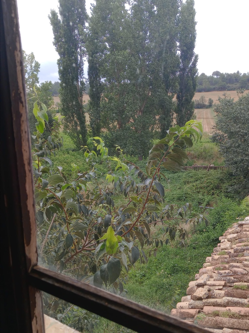 El paisatge de Gaver