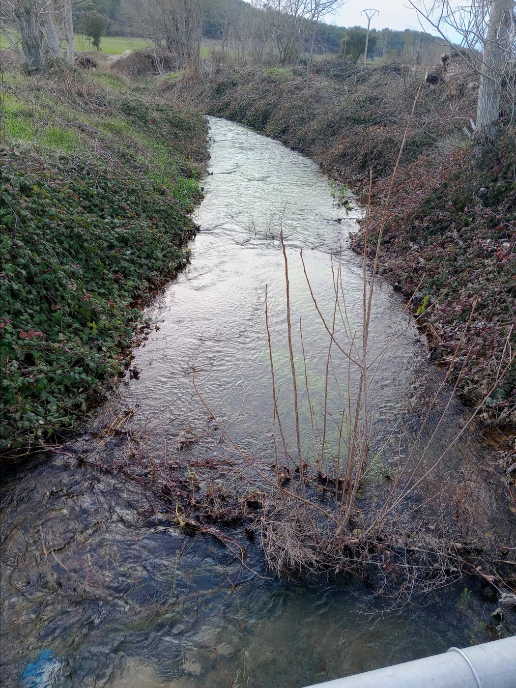 El riu davant del jardí del molí